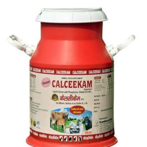 CALCEEKAM AD3 E Platinum
