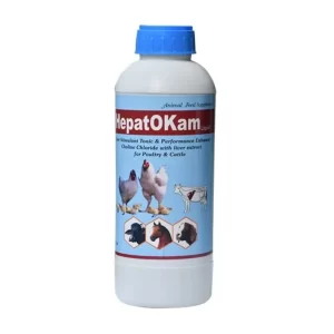 HEPATOKAM LIQUID